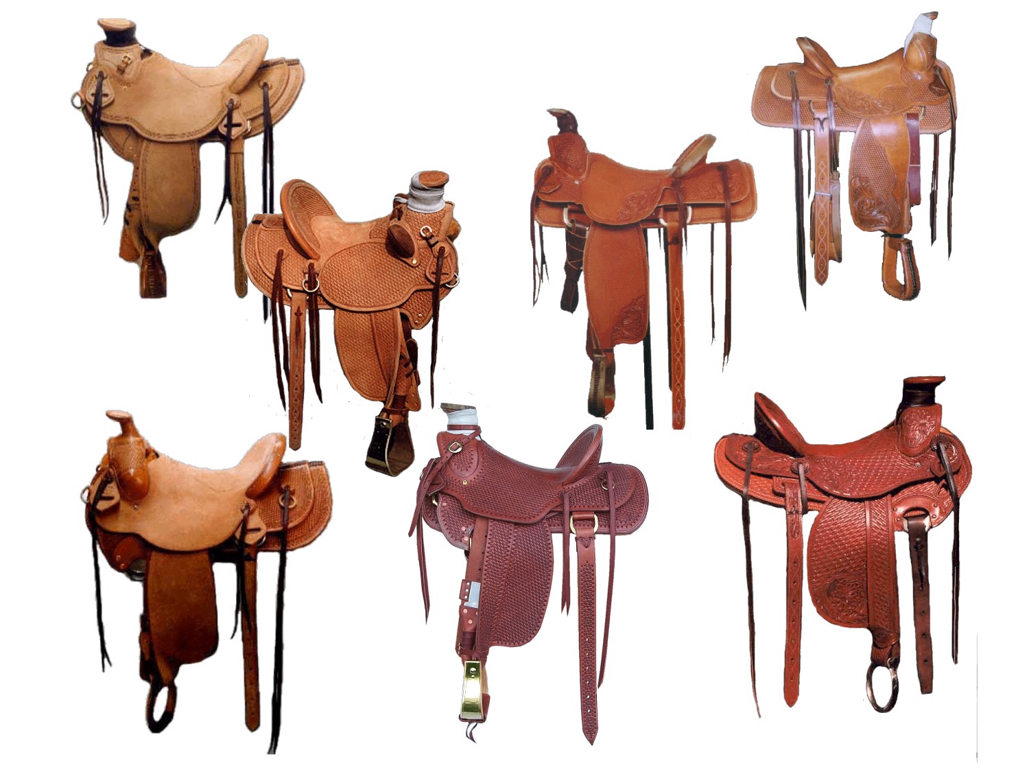 Just a few examples of the many types of saddles